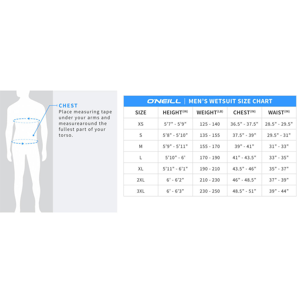 Muta O'Neill Reactor II Donna 2mm - Per Surf E Sport Acquatici, Zip Posteriore - Foto 11