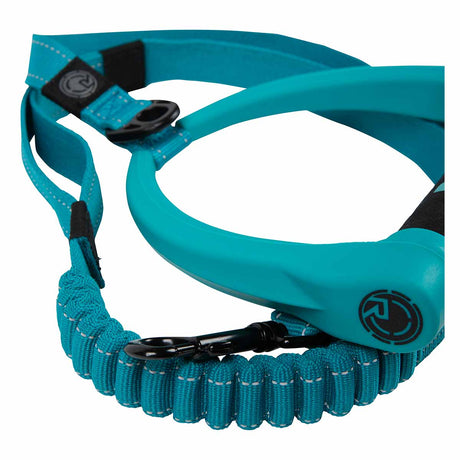 Radar Bungee Dog Leash - 5ft