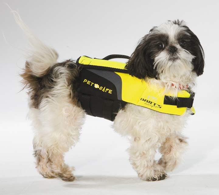 Shih tzu 2024 life jacket