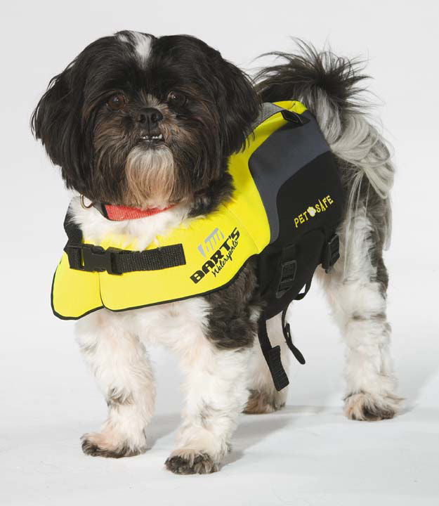 Dog neoprene life sales jacket